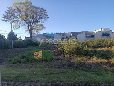 Terreno para Venda, em Marechal Cndido Rondon, bairro Andorinha