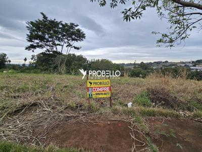 Terreno para Venda, em Marechal Cndido Rondon, bairro Centro
