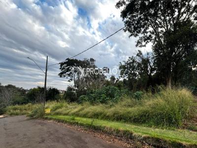Terreno para Venda, em Marechal Cndido Rondon, bairro Vila Gacha