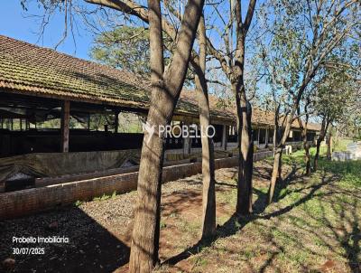 Chcara para Venda, em , bairro 