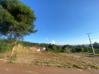 Terreno para Venda, em Marechal C�ndido Rondon, bairro Borboleta