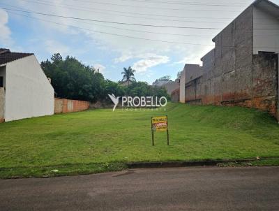 imagem-miniatura