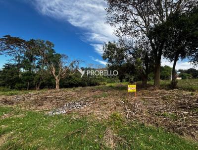 Terreno para Venda, em Marechal C�ndido Rondon, bairro Vila Ga�cha